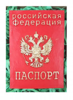 Паспорт украшение из шоколада 12,5*8,5см